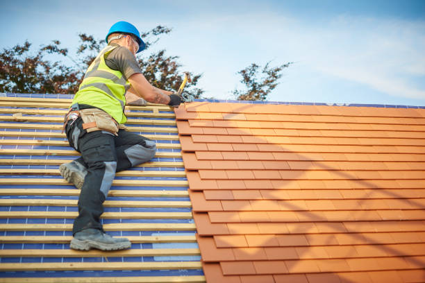 Best Hot Roofs  in Palestine, IL